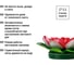 Водный светильник TDM ELECTRIC Кувшинка розовая, на солнечных батареях, SQ0330-0140 4