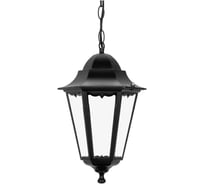 Светильник уличный шестигранник TDM ELECTRIC, 100Вт, подвес, черный SQ0330-0010