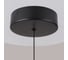 Подвесной светильник MAYTONI Ray P021PL-L10B 6