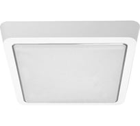 Cветодиодный накладной светильник ESTARES DLS 25W S-265-CW-WHITE/WHITE-220-IP44 УУ000003336