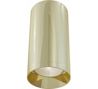 Потолочный светильник MAYTONI Alfa C010CL-01G