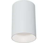 Потолочный светильник MAYTONI Alfa C014CL-01W 16183429