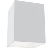 Потолочный светильник MAYTONI Alfa C015CL-01W