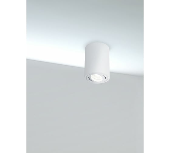 Потолочный светильник MAYTONI Alfa C016CL-01W