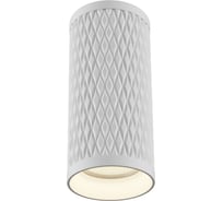 Потолочный светильник MAYTONI Alfa C036CL-01W