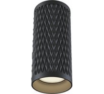Потолочный светильник MAYTONI Alfa C036CL-01B