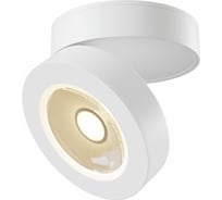 Потолочный светильник MAYTONI Alivar C022CL-L12W