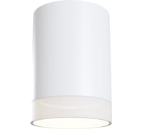 Потолочный светильник MAYTONI Pauline C008CW-01W