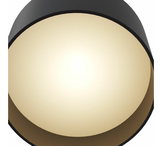 Потолочный светильник MAYTONI Planet C009CW-L12B
