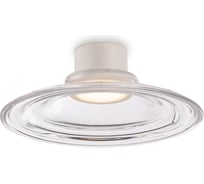 Потолочный светильник MAYTONI Remous C045CL-L9W4K
