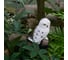 Садовый светильник на солнечной батарее Uniel USL-S-823/PM290 POLAR OWL UL-00011596 11