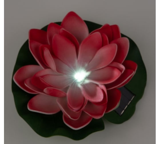Садовый светильник на солнечной батарее Uniel USL-S-826/PT060 RED WATERLILY UL-00011599