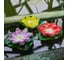 Садовый светильник на солнечной батарее Uniel USL-S-826/PT060 RED WATERLILY UL-00011599 9