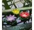 Садовый светильник на солнечной батарее Uniel USL-S-826/PT060 RED WATERLILY UL-00011599 10
