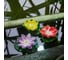 Садовый светильник на солнечной батарее Uniel USL-S-826/PT060 RED WATERLILY UL-00011599 11