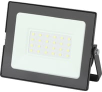 Светодиодный уличный прожектор ЭРА LPR-021-0-65K-030 30Вт 2400Лм 6500К IP65 Б0043561