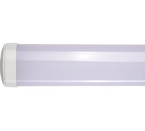 Светильник светодиодный настенно-потолочный Jazzway PWP-OS 1200 36Вт 6500К IP65 ДСП 190-240В/50Гц 5003149A