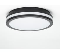 Влагозащитный светильник Citilux LUNS LED Черный CL711011V