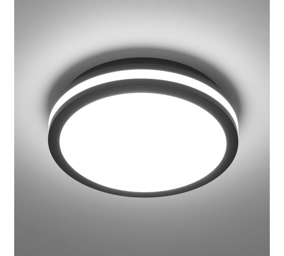 Влагозащитный светильник Citilux LUNS LED Черный CL711011V