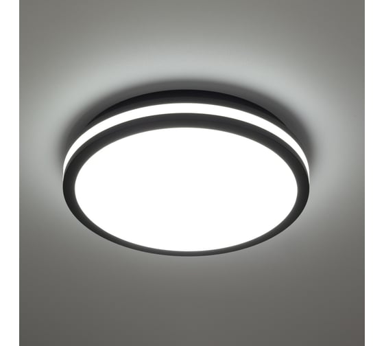 Влагозащищенный светильник Citilux LUNS LED Черный CL711021V