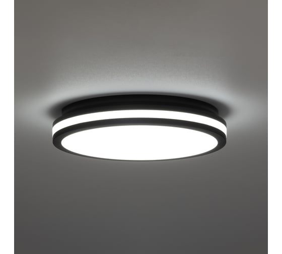 Влагозащищенный светильник Citilux LUNS LED Черный CL711021V