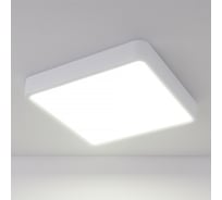 Светодиодный стационарный светильник Elektrostandard DLS034 18W 4200K a043017
