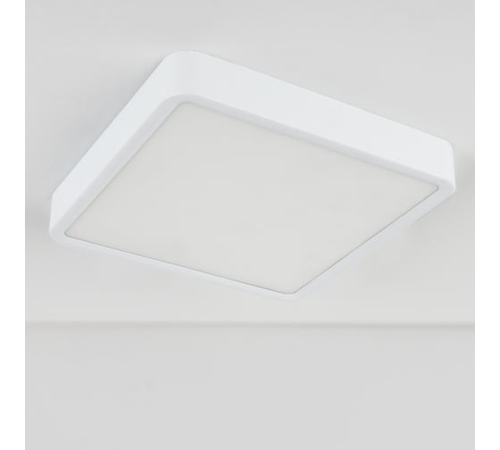 Светодиодный стационарный светильник Elektrostandard DLS034 18W 4200K a043017