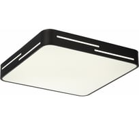 Светильник с пультом Citilux Купер Лайн LED RGB Черный CL724K70GL1