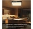 Светильник с пультом Citilux Купер Лайн LED RGB Черный CL724K70GL1 27