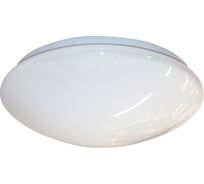 Светильник ЭЛЕТЕХ сфера 340, LED 24, M07, 340х100мм, 24Вт, 6000К, ИУ, светодиодный 1030450451