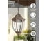 Садово-парковый светильник FERON, 60W, 230V, E27, PL6005, черное золото 11895 5