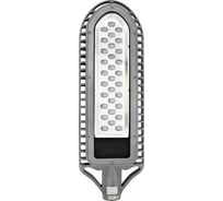 Уличный светодиодный светильник FERON, 30LED/1W, AC90-265V, SP2550, серебро 12128