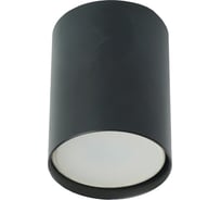 Потолочный светильник FERON ML177 MR16, 20W, 220V, черный 40513