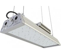 Светодиодный светильник TRANSCOM ДиУС-100М Т-01-У-100М-Д-К-67