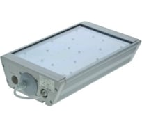 Светодиодный светильник TRANSCOM ДиУС-50 Т-01-У-50-Д-К-67