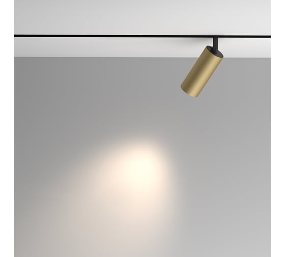 Трековый светильник MAYTONI Artisan Exility 4000K 12Вт 36 TR097-2-12W4K-M-BMG