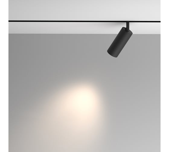 Трековый светильник MAYTONI Artisan Exility 4000K 12Вт 36 TR097-2-12W4K-M-BB