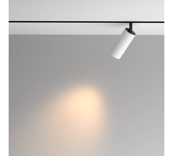 Трековый светильник MAYTONI Artisan Exility 3000K 12Вт 36 TR097-2-12W3K-M-BW