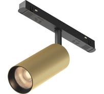 Трековый светильник MAYTONI Artisan Exility 3000K 12Вт 36 TR097-2-12W3K-M-BMG