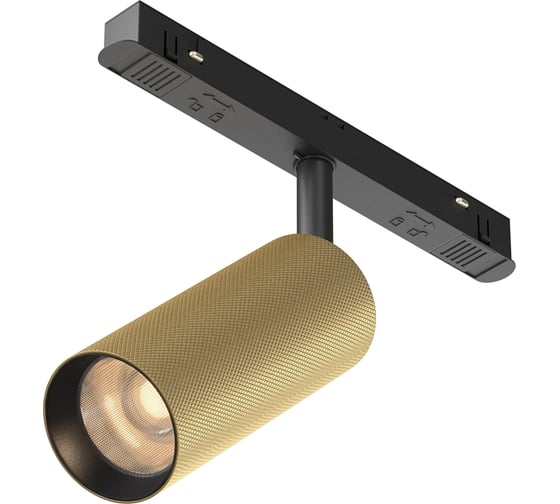 Трековый светильник MAYTONI Artisan Exility 3000K 12Вт 36 TR097-2-12W3K-M-BMG