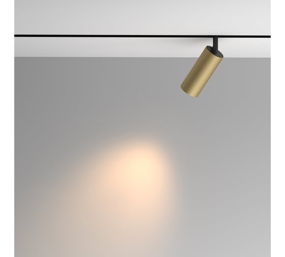 Трековый светильник MAYTONI Artisan Exility 3000K 12Вт 36 TR097-2-12W3K-M-BMG
