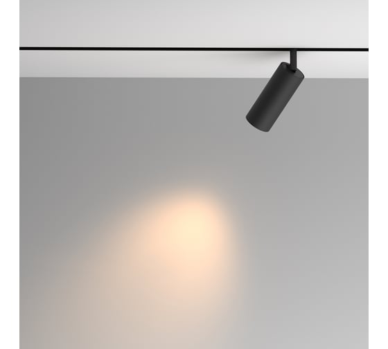 Трековый светильник MAYTONI Artisan Exility 3000K 12Вт 36 TR097-2-12W3K-M-BB