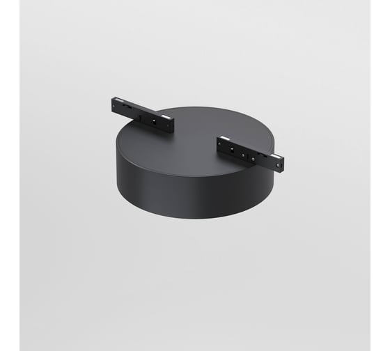Трековый светильник Elektrostandard Mini Magnetic 12W 3000K (черный) 85161/01 a065648