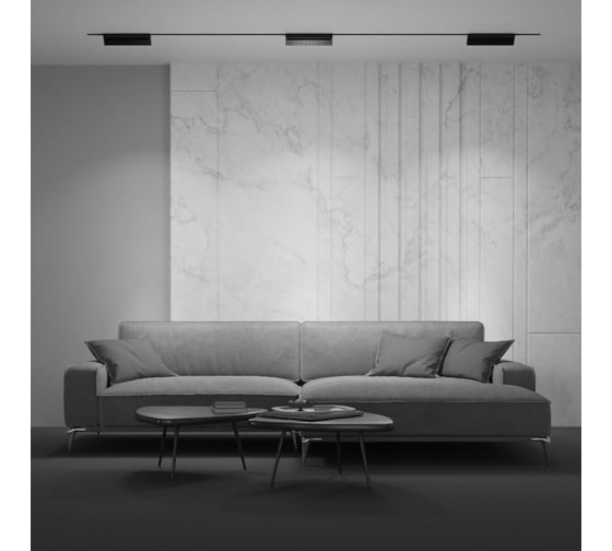 Трековый светильник MAYTONI Basis Gravity 4000K 20Вт 120 TR075-2-20W4K-B