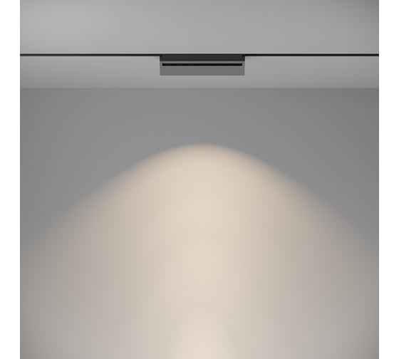 Трековый светильник MAYTONI Basis Gravity 4000K 20Вт 120 TR075-2-20W4K-B