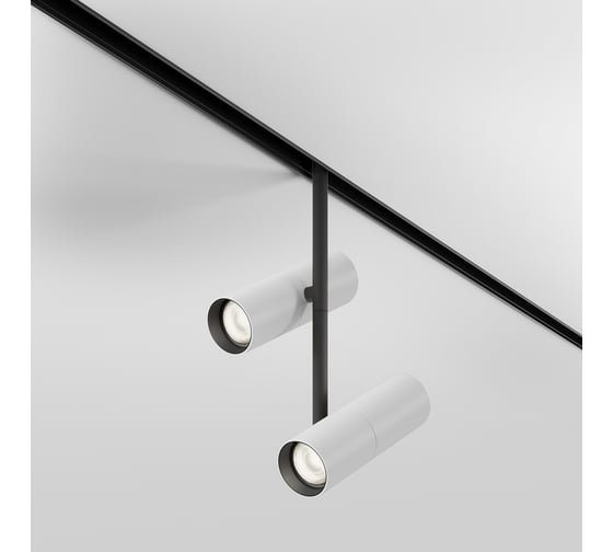 Трековый светильник MAYTONI Elti Duo Exility 3000-6000K 24Вт 36 Dim Smart TR005-4-2X12W-DS-BW