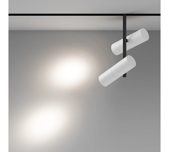 Трековый светильник MAYTONI Elti Duo Exility 3000-6000K 24Вт 36 Dim Smart TR005-4-2X12W-DS-BW