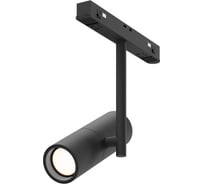 Трековый светильник MAYTONI Elti Exility 4000K 12Вт 36 TR005-2-12W4K-B