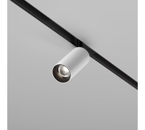 Трековый светильник MAYTONI Focus Led Exility 3000-6000K 5Вт 36 Dim Smart TR032-4-5W3K-M-DS-BW