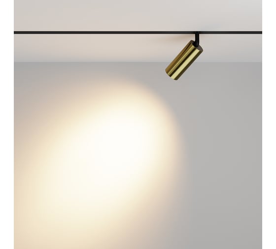 Трековый светильник MAYTONI Focus Led Exility 3000K 12Вт 36 TR032-2-12W3K-M-BBS